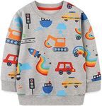 Funnymore Toddler Boy's Crewneck Sw