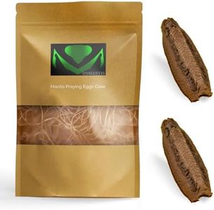 USMANTIS Carolina Praying Mantis Egg Cases with Hatching Habitat Bag (Two Egg Cases - Fresh) – Great for STEM Education, Fun Pets, and Beneficial for Gardens (50–200 Nymphs per Case)