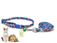 Puppy Collars And Leads