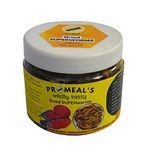 Promeal Premium Dried SUPERWORMS | High Protein Food for Aquarium Fishes Like Arowana, Flowerhorn and Birds, Reptiles, Monkeys and Other Pets (30gm (100+ grubs))