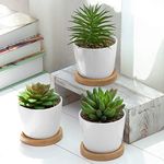 MyGift Mini Artificial Succulent Plants in White Ceramic Pots with Bamboo Saucers, Set of 3 (Assortment 4)