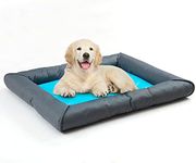 Pets Dog Cooling Mat Irrigating Cooling Water Dog Bed Mats Cooling Pad Pet Ice Pad Dog Cat Litter with Winter Mattress