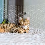 JUMXSRLE Cat Balcony Net, Cat Balcony Fence for Pets, Cat Netting Anti-Fall, Transparent Nylon Pet Mesh Fence for Dogs Cat, Pet Safety Net for Balcony Stairs Window, 26 x 10 ft