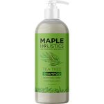 Refreshing Tea Tree Shampoo - Clarifying Shampoo for Oily Hair and Dry Scalp with Jojoba Oil and Rosemary Oil - Cleansing Sulfate Free Shampoo with Essential Oils for Build up - 473ml