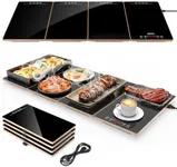FEPPO Electric Warming Tray, 4-in-1