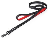 Pamiou 6FT Basic Dog Leash with Two Control Handles, Light Reflective Rope Heavy Duty Dog Leads for Small Medium and Large Dogs (Black Red)