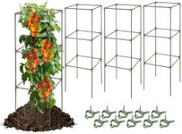 arbxvnrUp to 124cm Square Tomato ca