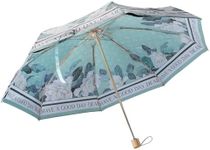 Cooloutdoors Automatic Umbrella, Double Layer 8Ribs Inverted Umbrella/Windproof Umbrella, Anti-UV Waterproof Straight Umbrella for Car Rain Outdoor Use (Light/pink), green