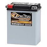 Deka Power Sports ETX15 battery