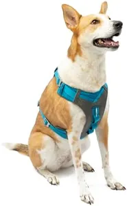 Kurgo Journey Air Dog Harness, Vest Harnesses for Dogs, Pet Hiking Harness for Running & Walking, Reflective, Padded, Includes Control Handle, No Pull Front Clip (Blue, Large)