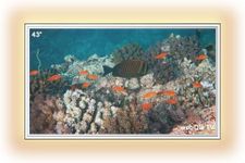 Soulaca 43inch Bathroom Mirror TV with LED Light, 4K Ultra HD Modern Vanity Mirror Smart TV, Built-in Netflix/Youtube (webOS TV System)