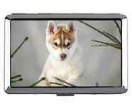 Hard Box Full Pack Cigarette Case,Pet Siberian Husky Puppy Dog Business Credit ID Card Holder (King Size)