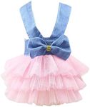 Clopon Pet's Cute Halter Bowknot Tutu Dress for Small Dogs Girl Cute Dresses for Tiny Puppy Female Clothes Blue XS