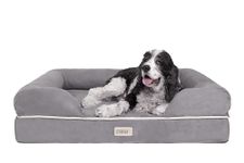 Friends Forever Large Dog Bed, Orthopedic Dog Sofa Memory Foam Mattress, Calming Dog Couch Bed, Wall Rim Pillow, Water Resistant Liner, Washable Cover, Non-Slip Bottom, Chester, Large Grey