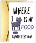 Obbyidk Funny Cat Birthday Card, Hi