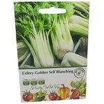 Celery Golden Self Blanching Seeds in Pictorial Packet from a UK Seller Long Standing Crops with High Yield