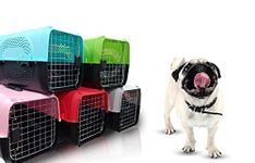 The DDS Store Pet Travel Carrier Dog Cat Rabbit Basket Plastic Handle Hinged Door Folding Collapsible Transport Box Crate Cage Size 19.5 x 13 x 12.5 Inch for Puppy Cats (Color May Vary)