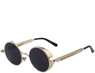 Being Better Retro Round Circle Steampunk Sunglasses Polarized Metal Alloy for Women Men (Black)