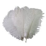 50Pcs Natural Ostrich Feathers 6-8 inch(15-20cm) Crafts DIY Feather for Wedding Party Centerpieces Home Decoration (White)