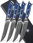 SANMUZUO Steak Knives Set of 4, Ultra Sharp Non Serrated Kitchen Steak Knife 5 Inch - Damascus Steel & Resin Handle - Xuan Series (Sapphire Blue)