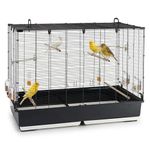 Ferplast Bird Cage Aviary PIANO 7 Large Cage for Birds, Canaries, Budgies, Finches, Loverbirds, Metal, Accessories Included Rotating Feeders Perches, 99.5 x 53 x h 74 cm.