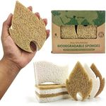 AIRNEX Biodegradable Natural Dish Sponges Kitchen Pack of 6 - Leaf and S-Shaped Coconut and Cellulose Sponges for Dishes and Surfaces - Eco Friendly Non-Scratch Heavy Duty Dish Scrubber Sponges Bulk