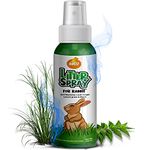 Boltz Rabbit Litter Spray with Lemon Grass and Neem, Medium, 200 ml