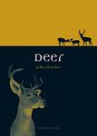 Deer (Animal Series)