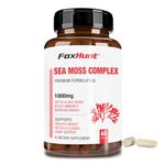 Fox Hunt Irish Sea Moss Complex- 1000MG (60 Capsules Each Pack) Burdock Root Bladderwrack Capsules - Digestive Health & Boosts Immune System - Thyroid, Healthy Skin, Joint Support