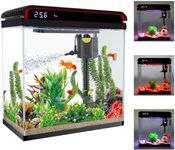 Betta Fish Tank, 5 Gallon Glass Aqu