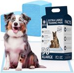 American Kennel Club Scented Puppy 