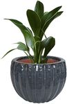 Sunnydaze 10" Round Ceramic Plant Pot Set - Features 1 Drainage Hole - 1.18-Gallon Soil Capacity - Black Mist - Set of 2