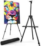 Portable Artist Easel Stand for Pai