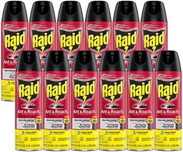 Raid Ant &