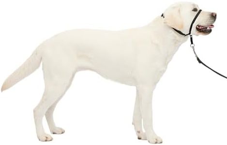 PetSafe Ge