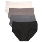 Hanes Women's 4 Pack Smooth Microfiber Brief, Assorted, XL (WMI38T)