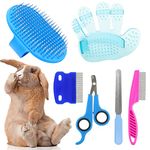 Rabbit Pet Care