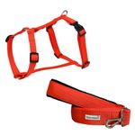 TEDHI POONCH Premium Tarbooj Adjustable Training Freedom H-Harness and Leash Set for Dogs and Puppies-Bold Range | Red | Medium