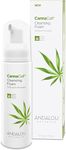 Andalou Naturals CannaCell® Cleansing Foam 163ml, 163 millilitre