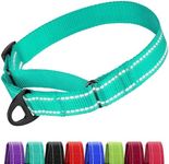 Collardirect Reflective Martingale Dog Collar Nylon Training Collars for Small Medium Large Dogs Puppy Pink Orange Green (M, Neck Size 13"-18", Mint Green)