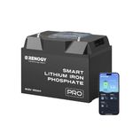 Renogy 100Ah Lithium Battery LiFePO4 Deep Cycle Battery, with Bluetooth Monitoring, Self-Heating for Cold Weather, IP67 for Hurricanes, 5000+ Life Cycles, Pro Series