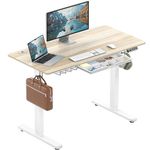 SHW 48-Inch Electric Height Adjustable Standing Desk with Memory Preset and Cable Management Tray, 120 x 60 cm, Maple