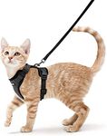 rabbitgoo Cat Harness and Leash for Walking, Escape Proof Soft Adjustable Vest Harnesses for Small Medium Cats, Easy Control Breathable Reflective Strips Jacket, S, Black