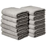 Pinzon By Amazon.com Hand Towels