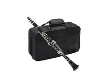 Kapoor Musicals 14 key CLARINET with case.