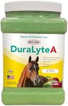 Durvet DuraLyte A Electrolyte Supplement, 5 Pounds, Apple Flavored for Horses