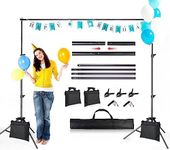 Backdrop Stand 6.5x10ft, ZBWW Photo