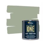 The ONE All-In-One Paint & Primer - Sage Green Satin, 250 ml | Multi-Surface 1 Coat Formula | Easy Indoor & Outdoor Decorating for Home & Garden Wall, Floors, Furniture | Durable, Water-Based, Low VOC