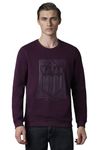 Louis Philippe Men's Cotton Crew Neck Sweatshirt (LRSTNRGFF86196_Purple