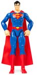 DC 30 cm Action Figure (Styles May Vary)